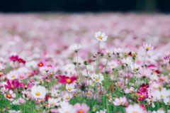 坐落于常州科教